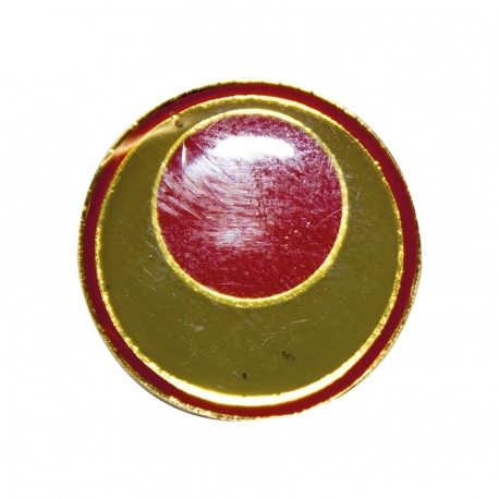 Pin Karate Shyto-Ryu