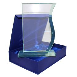 TROFEO CRISTAL REF: 809